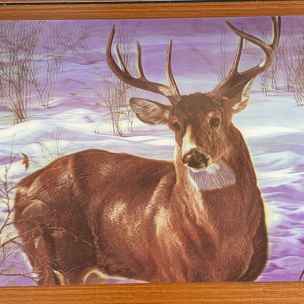 Deer Art Print with Wooden Frame Stereoscopic